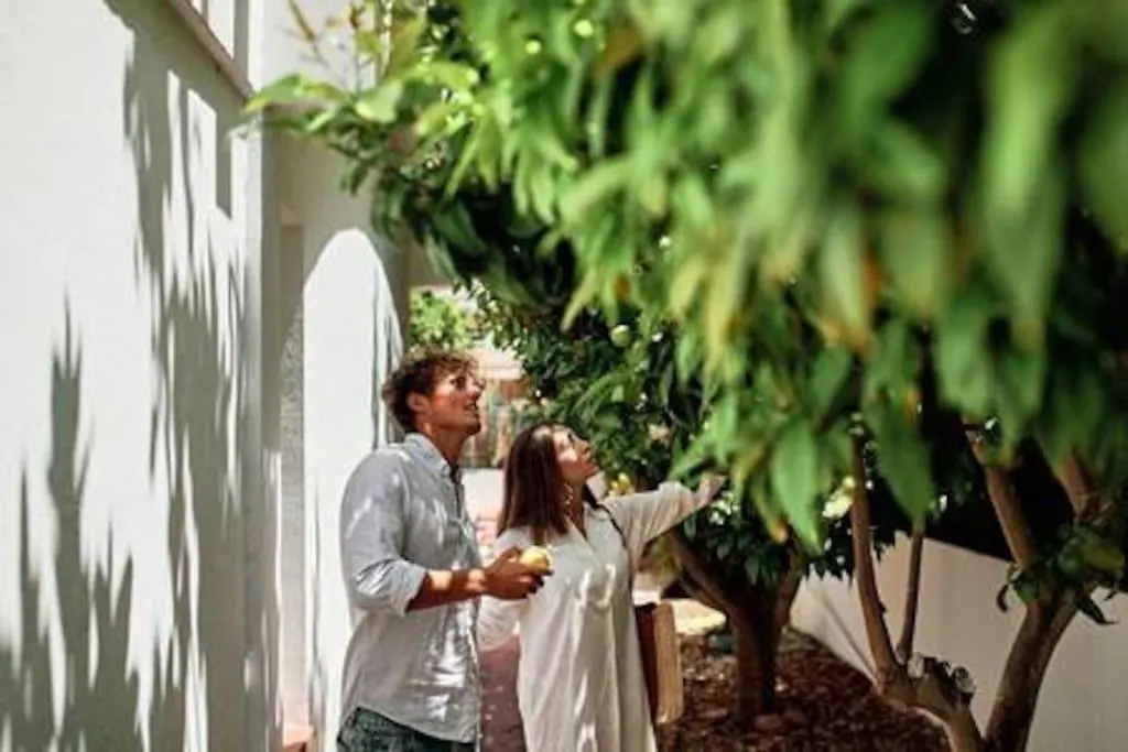 Walk To Ushuaia, Hi & The Beach! - 6Br Villa - Charming Patio & Private Pool  Ibiza Town